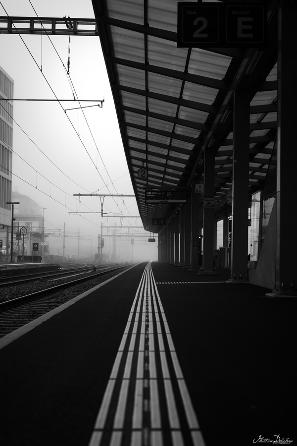 Misty Morning at Renens' Train Station